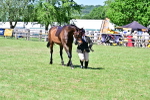 SBM_18234