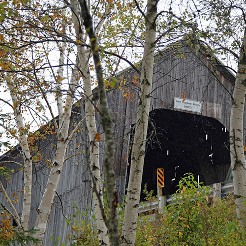 Gaspereau River #2 Covered Bridge Upper Gaspereau New Brunswick (aka Burpee Bridge)
