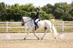 SBM_009204