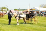 SBM_02608