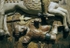 detail, A Trampled Moor