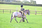 S18 - Novice & Newcomer Lead Rein Pony portfolio