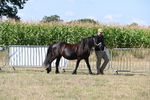 WJ6_4441
