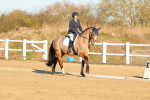 SBM_004687