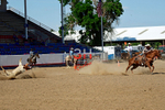 3HRodeo8-11-25_PRCASteer_07853_