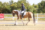 SBM_009301