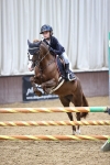 Class 9 - Stepping Stones 128cm 138cm Handicap 75cm 85cm portfolio