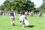 SBM_39604