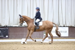 SBM_004353