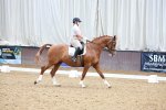 SBM_001552