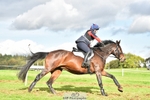 503-JAGUAR.MAID-Isobel.Lole-SC+XC portfolio