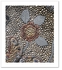 Mosaic VI