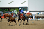3HRodeo8-11-25_PRCASteer_07142_