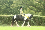 SBM_74971