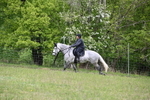 WJ6_1667