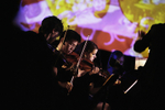 Picturing the Orchestral Family portfolio
