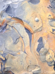 Shale Detail