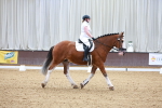SBM_000175