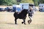 WJ6_4664