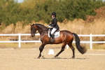 SBM_017696