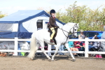 SBM_13428
