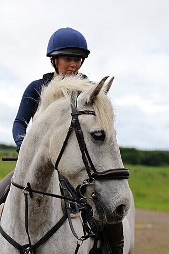 Auchlishie Eventing