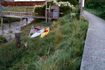 Shoreham Houseboats - 20