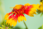 20130922-3K8A6254