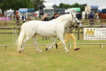 SBM_04176