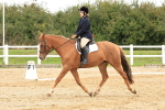 SBM_001613
