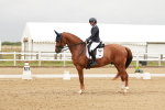 SBM_010116