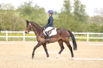 SBM_008017