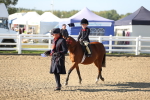 SBM_00499
