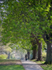 A walk in the park, Heavitree Pleasure Grounds, Exeter