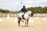 SBM_004880