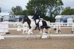 SBM_00237