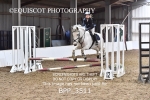 BPP_3511