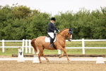 SBM_005355