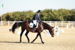 SBM_016895