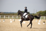 SBM_020425
