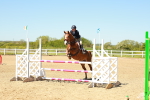 SBM_000991