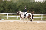 SBM_01497