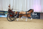 SBM_000161