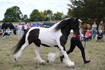 WJ6_5512
