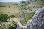 Hutton Roof-552