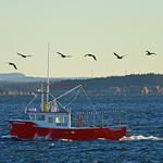 Callum's Catch Passamaquoddy Bay New Brunswick Canada