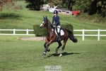 449-INDI-Grace.Gillard-TrotUp+SJ portfolio