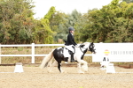 SBM_002713