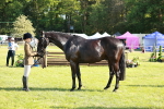 SBM_19295