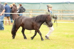 SBM_04327